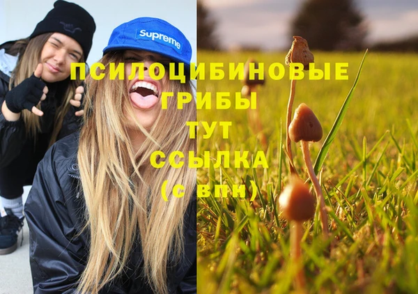 СК Алексеевка