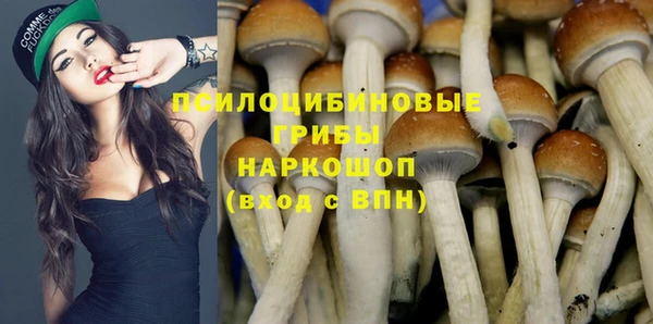 героин Алзамай