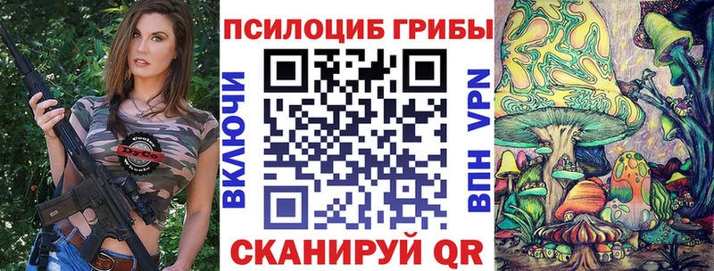Псилоцибиновые грибы Psilocybine cubensis  что такое наркотик  мориарти официальный сайт  Чаплыгин 